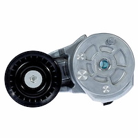 55703 Automatic Drive Belt Tensioner Fits Select Make/Models