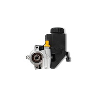 198-104 Saginaw Type II Power Steering Pump with Reservoir for Mopar Gen III Hemi