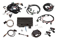 550-1219 Terminator X MPFI Controller Kit
