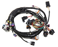 558-102 Main Harness for GM LS1, LS6 Engines w/Holley HP or Dominator EFI (24X Crank Reluctor)
