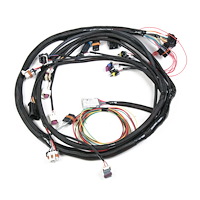 Universal MPFI Main Harness for HP EFI and Dominator EFI