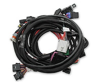 558-122 Ti-VCT EFI Main Harness for 2011-2014 Ford Coyote
