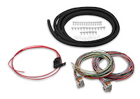 Universal Coil-On-Plug Ignition Harness for HP and Dominator EFI