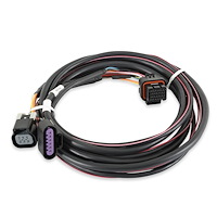 Auxiliary Wiring Harness for Holley Dominator EFI