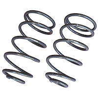 Rear Springs 1964-1966 GM A-Body