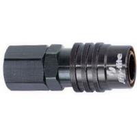 5000 Series Socket -12AN Straight Female Fitting
