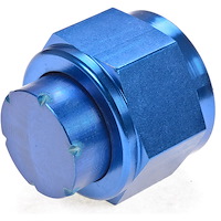 Flare Cap -16AN