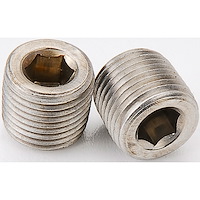 Stainless Steel Pipe Plugs 1/8 in. NPT
