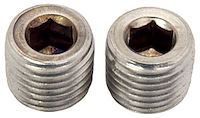 Stainless Steel Pipe Plugs 1/4 in. NPT