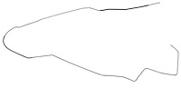 Main Front-to-Rear Fuel Line for 1968 Chevrolet Chevelle, Malibu Hardtop [5/16 in. O.D., Stainless Steel]