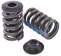 Valve Spring Kit with Damper [1.250 in. Outer Diameter]