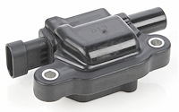 GM LS Ignition Coil for 2005-2020 GM LS Gen IV 4.8L, 5.3L, 6.0L, 6.2L, 7.0L Car and Truck Engines [Black]