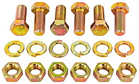 Safety Harness Bolts 1/2 in.-20