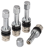 Valve Stems Chrome TR48E Mount 1.89 in. Extended Length