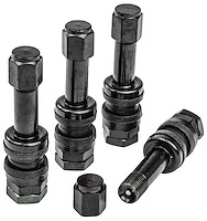 Valve Stems Black TR48E Mount 1.89 in. Extended Length