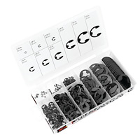 300-Piece E-Clip Assortment