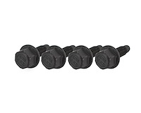 BTR-51163 Lifter Tray Bolt