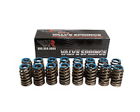 BTR91120-16 Beehive Valve Spring Set, GM Gen V LT, Max Lift: .550 in.