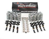 SK001/T/0560/BB Platinum Dual Spring Kit, GM LS, Max Lift: .660 in.