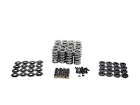 SK001/S/0545/BB Platinum Dual Valve Spring Kit, GM LS, Max Lift: .660 in.