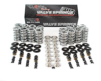 SK001/T/0545/BB Platinum Dual Spring Kit, GM LS, .660 in. Lift