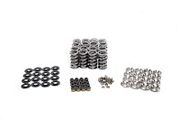SK006/0560/BB Platinum Dual Spring Kit, GM LS9, .660 in. Lift