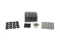 SK701/2060/BB Dual Spring Kit, GM LS, .685 in. Lift