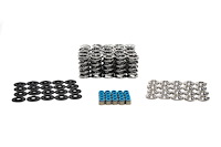 SK011/VSLS Platinum Dual Spring Kit, Dodge Viper, .660 in. Lift