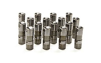 X12499225-1 Individual Delphi Lifter