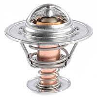 Low-Temp Stat Thermostat