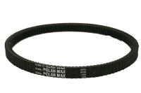 Standard Polar Drive Belt 7/8" Wide