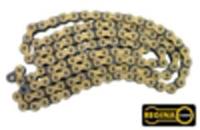 #415 Regina Gold Chain 5 ft
