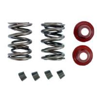 DUAL SPRING KIT .550 LIFT