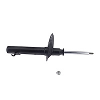 Front Excel-G Strut 2006-2011 Ford