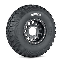 TT301014DS60 Desert-Series (DS) Tire, 30x10-14 [60 Durometer Tread Compound]