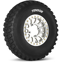 TT321015DS50 Desert-Series (DS) Tire, 32x10-15 [50 Durometer Tread "Soft" Compound]