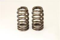 B-HIVE VALVE SPRING KIT