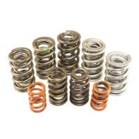 Standard Dual Valve Spring Set 1.240 in. OD