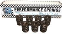 TRIPPLE VALVE SPRING SET