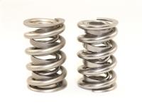 Standard Dual Valve Spring Set 1.600 in. OD