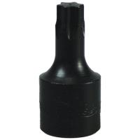 T47 Torx Drive Bit