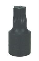 T20 Torx Drive Bit