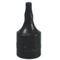 T25 Torx Drive Bit