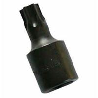 T50 Torx Drive Bit