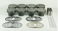 PISTON (SET)