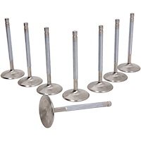 Race Master Race Flo Intake Valves LS1 / LS2 / LS6