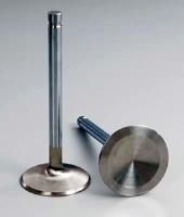 Severe Duty Valves Type: Intake