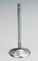 Severe Duty Valve Type: Exhaust