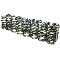 NexTek H.P. Valve Springs 4.6/5.4L SOHC 2V