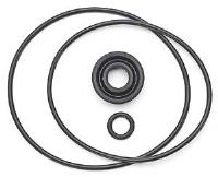 Pro Star 500 Seal Kit